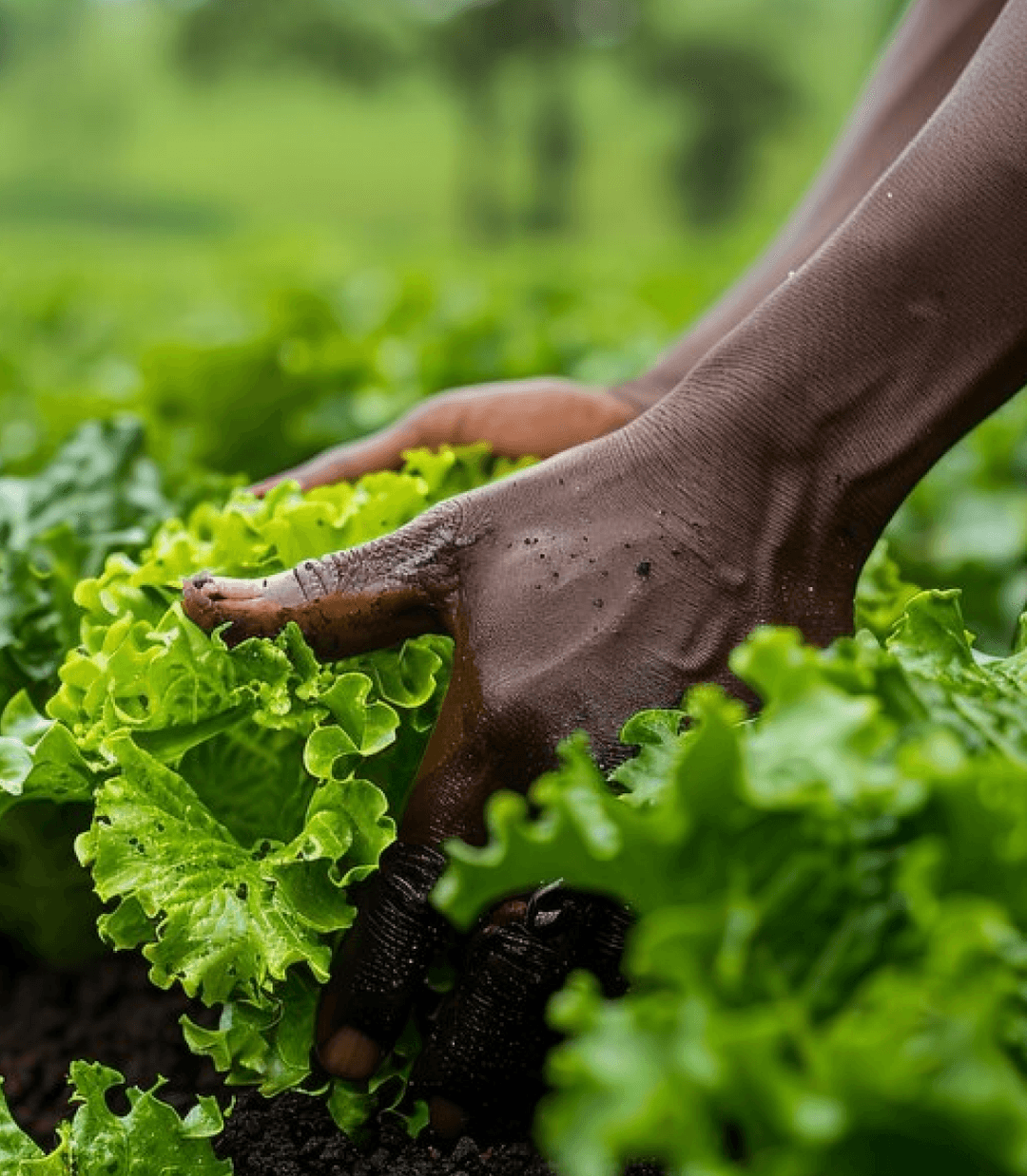 Home | Deepspatial AI